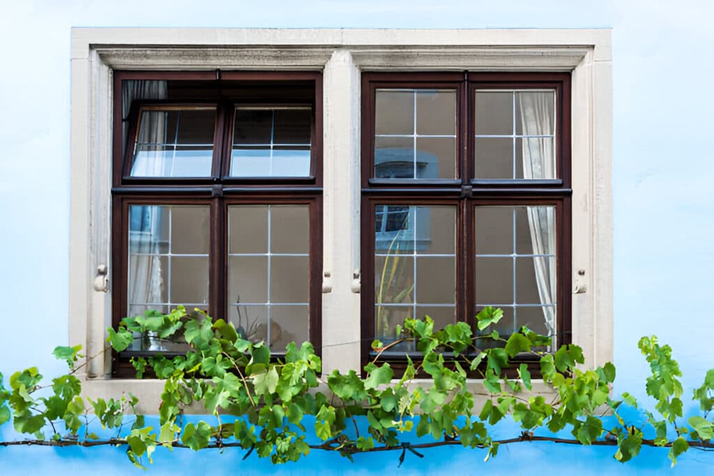 Classic Double Hung Windows